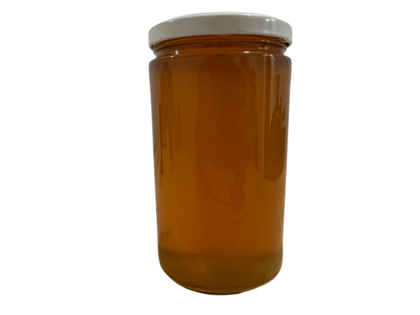 Gvozdeni ratnici - Proizvodi - Med u saću - u staklenoj tegli od 1 kg
