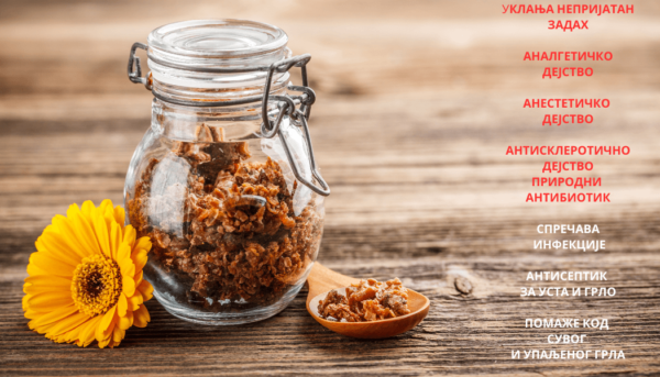Gvozdeni ratnici - Propolis - UKLANjA NEPRIJATAN ZADAH ANALGETIČKO DEJSTVO ANESTETIČKO DEJSTVO ANTISKLEROTIČNO DEJSTVO